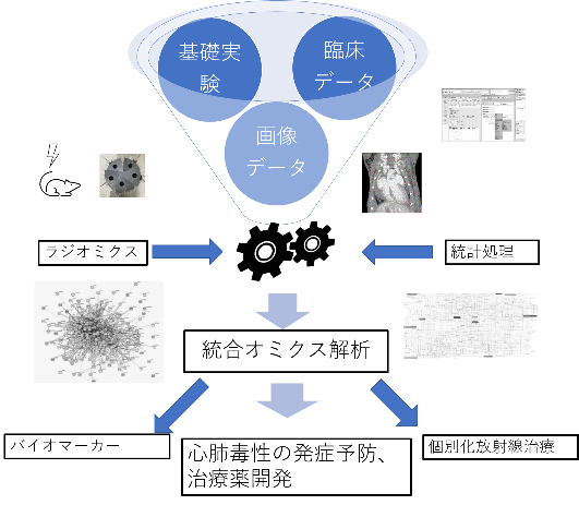 基礎生物研究：細胞や動物モデルを対象とした研究 | 慶應義塾大学